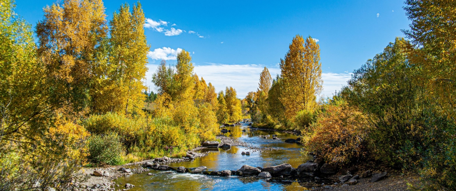 The Colorado Water Plan protects rivers like the Yampa.