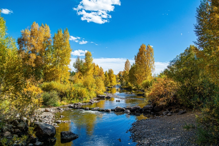 The Colorado Water Plan protects rivers like the Yampa.