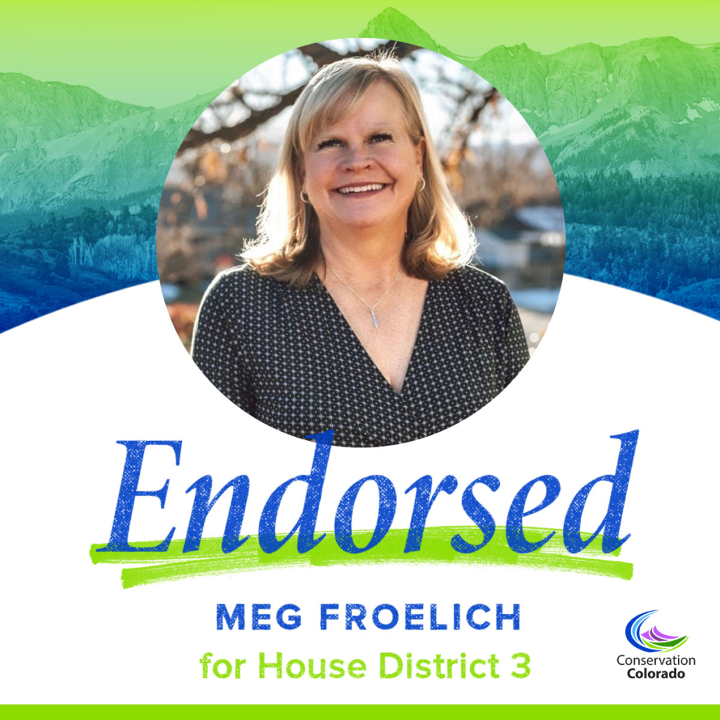 Meg Froelich | House District 3