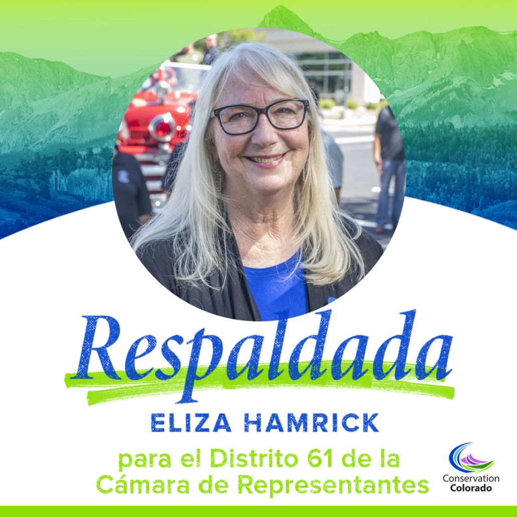 Eliza Hamrick | El Distrito 61 de la Camara de Representantes