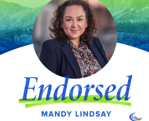 Mandy Lindsay | House District 42