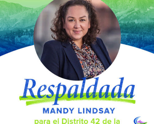 Mandy Lindsay | El Distrito 42 de la Camara de Representantes