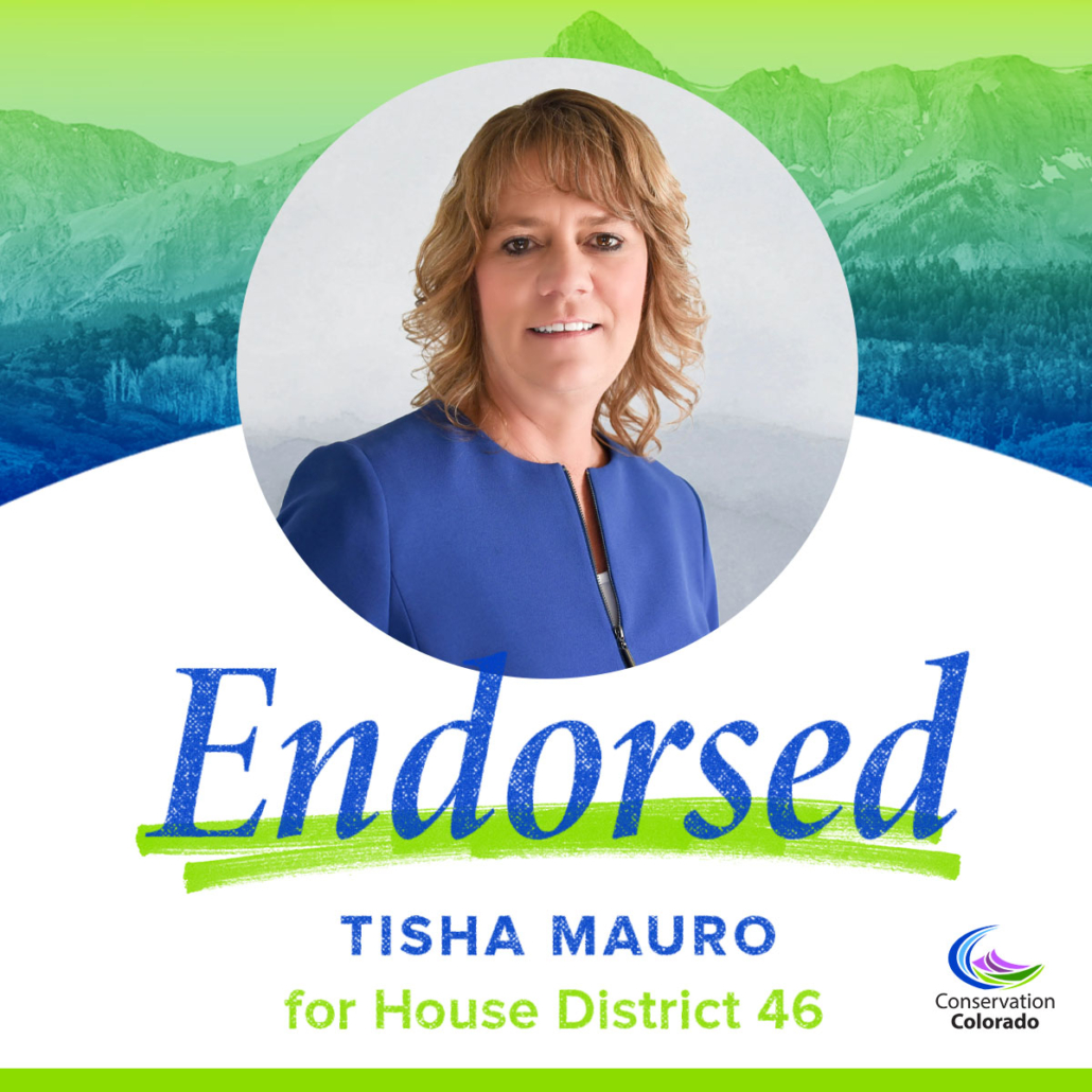 Tisha Mauro | House District 46