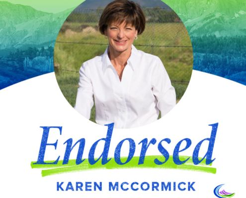 Karen McCormick | House District 11