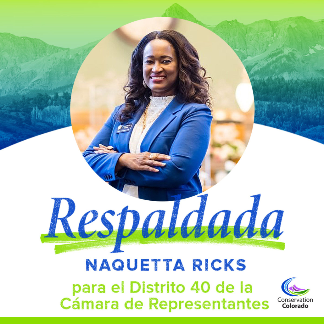 Naquetta Ricks | El Distrito 40 de la Camara de Representantes