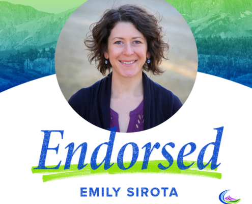 Emily Sirota | House District 9