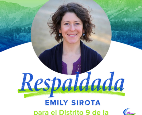 Emily Sirota | El Distrito 9 de la Camara de Representantes