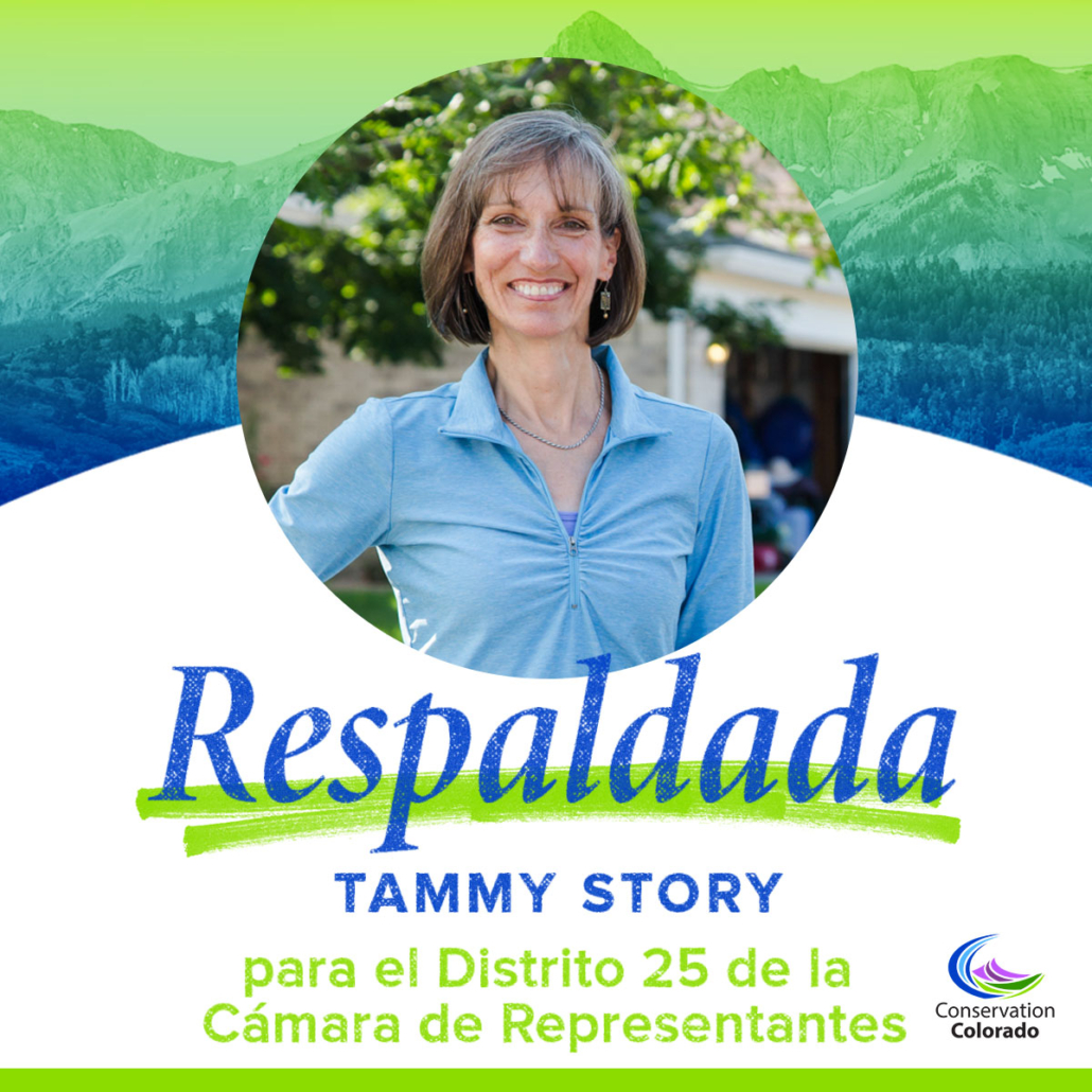 Tammy Story | El Distrito 25 de la Camara de Representantes