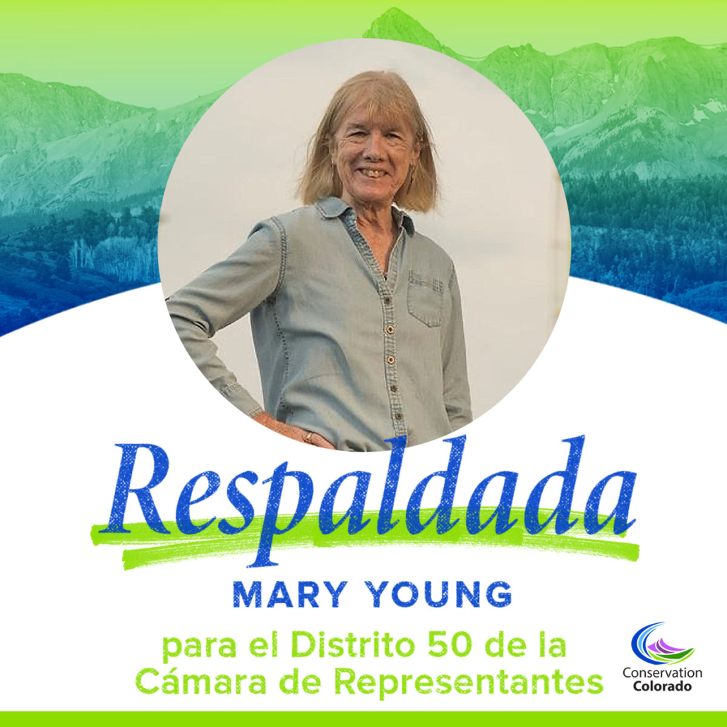 Mary Young | El Distrito 50 de la Camara de Representantes