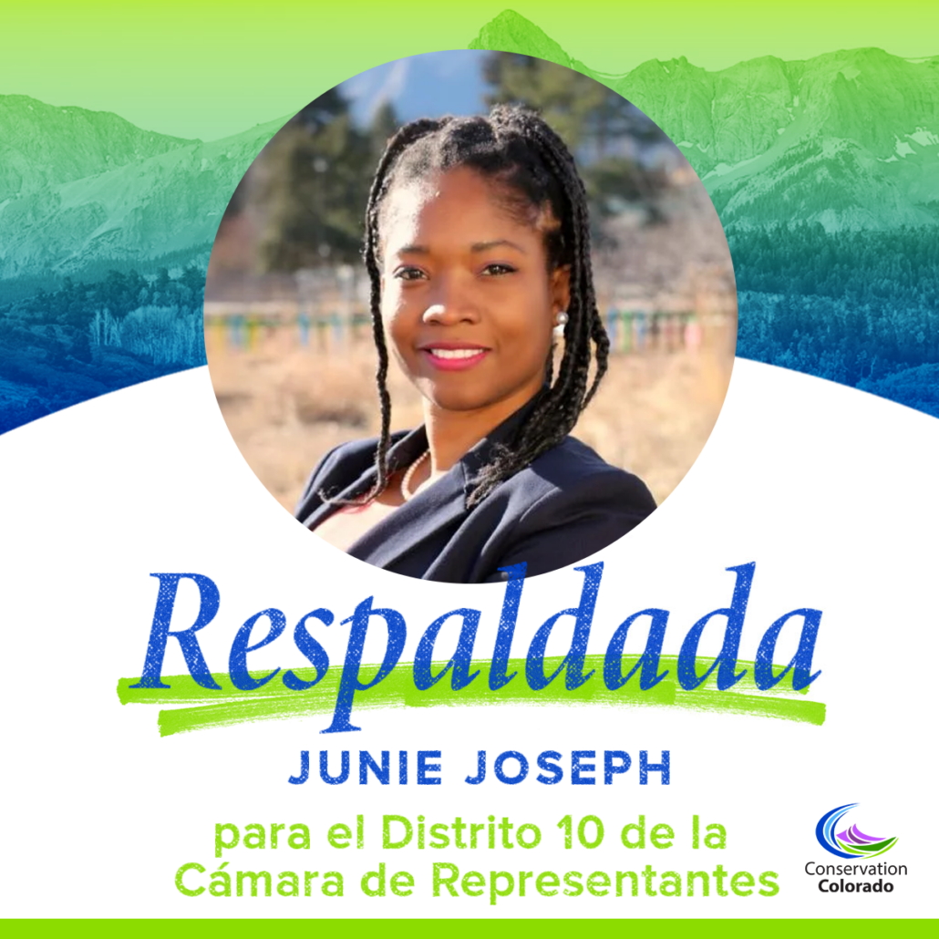 Junie Joseph | El Distrito 10 de la Camara de Representantes