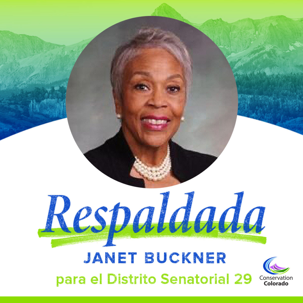 Janet Buckner | El Distrito Senatorial 29