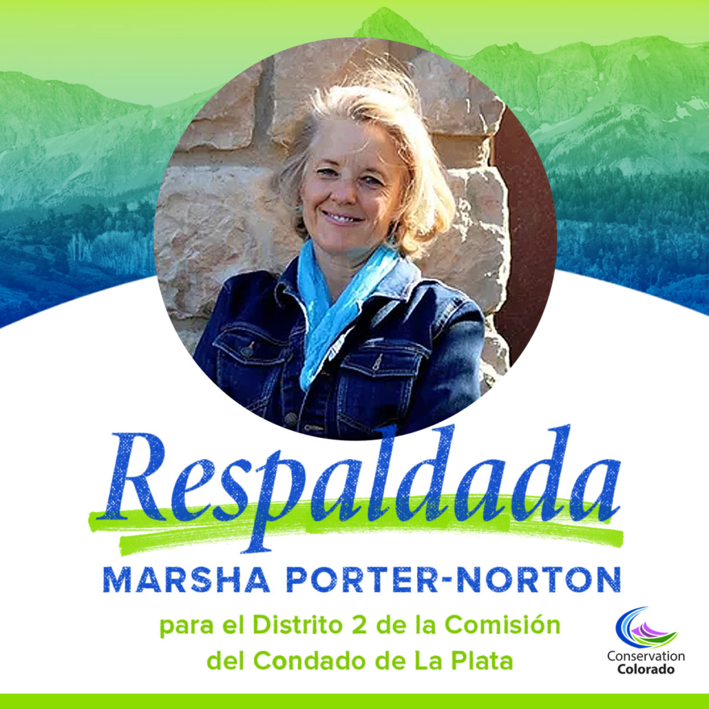 Marsha Porter-Norton | Comisión del condado 02, La Plata