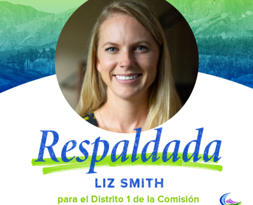 Liz Smith | Comisión del condado 01, Gunnison