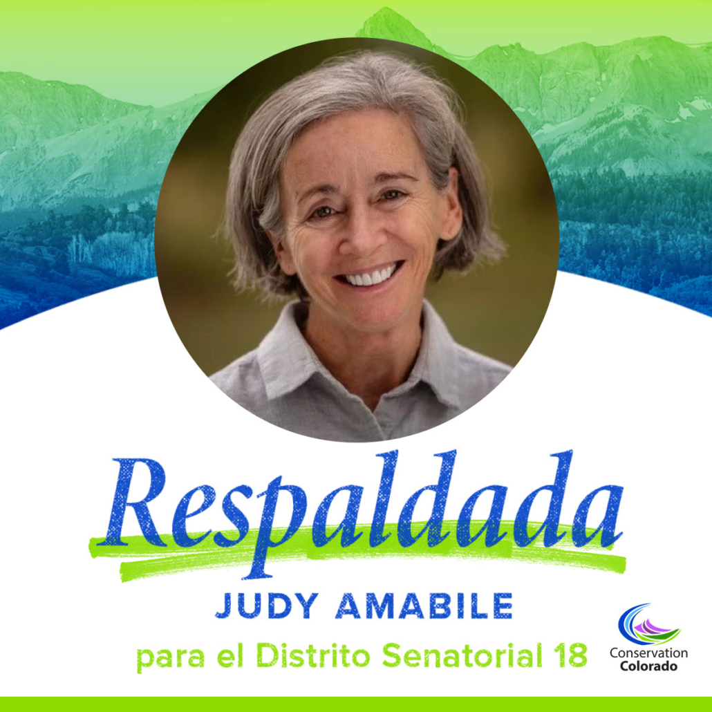 Judy Amabile | El Distrito Senatorial 19