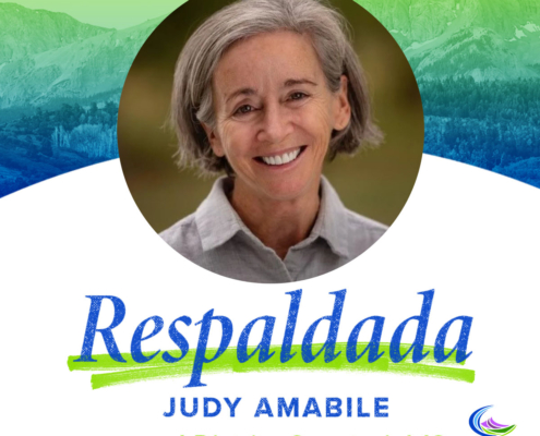 Judy Amabile | El Distrito Senatorial 19