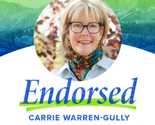 Carrie Warren-Gully | County Commission District 1, Arapahoe