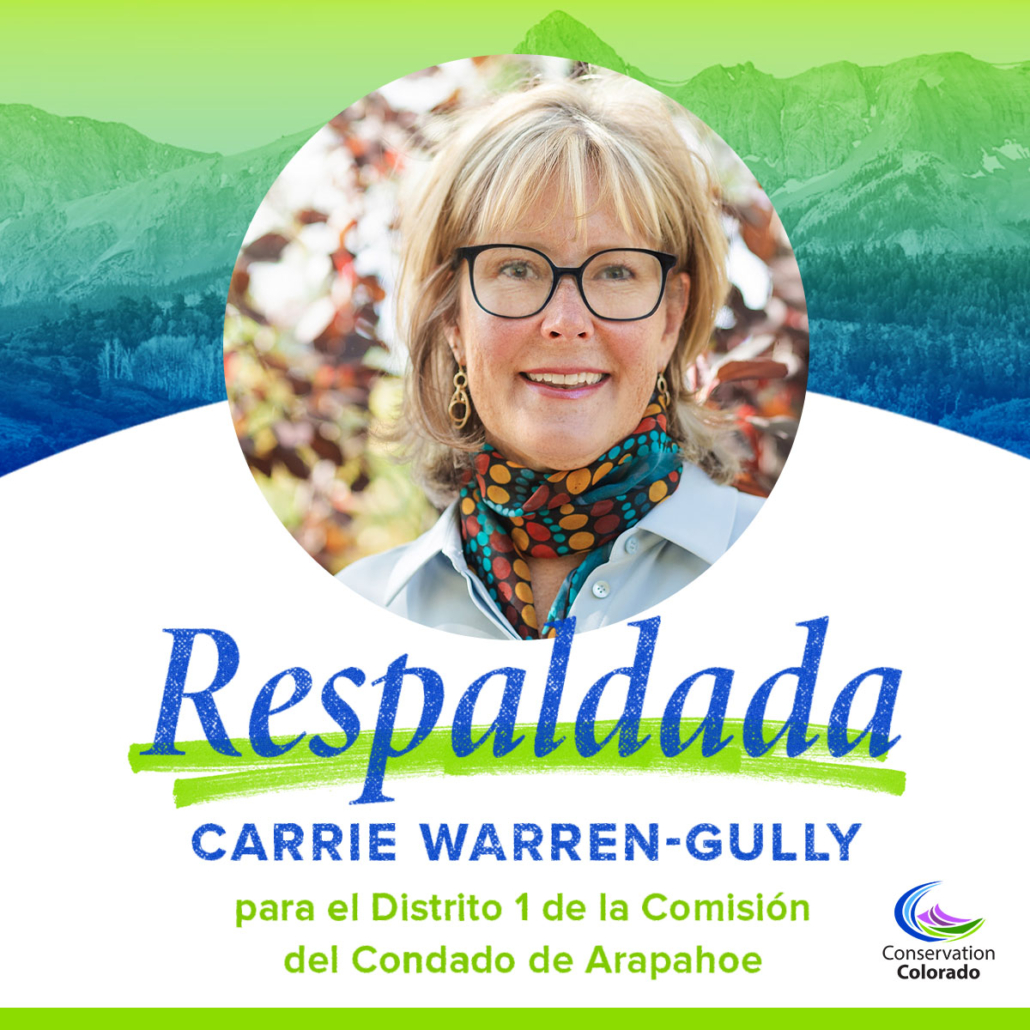 Carrie Warren Gully | Comisión del condado 01, Arapahoe