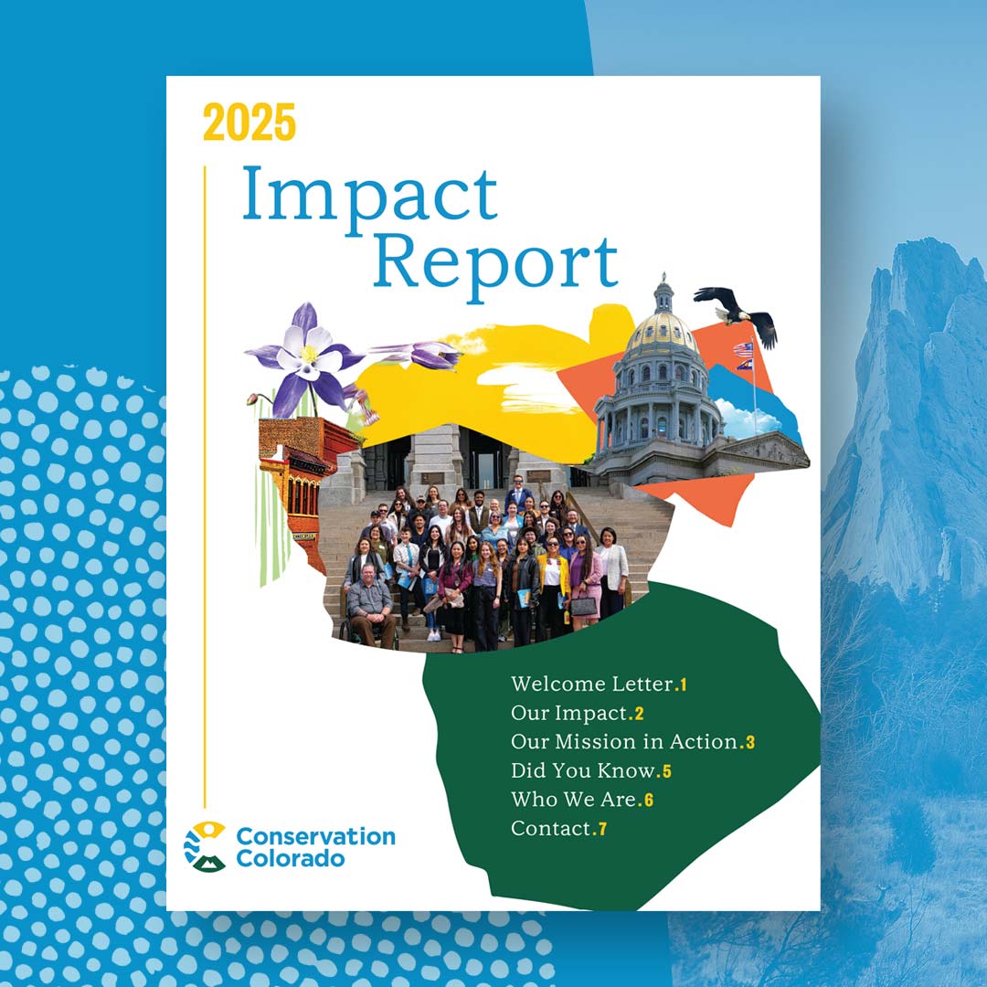 Graphic for the cover of the 2025 Impact Report