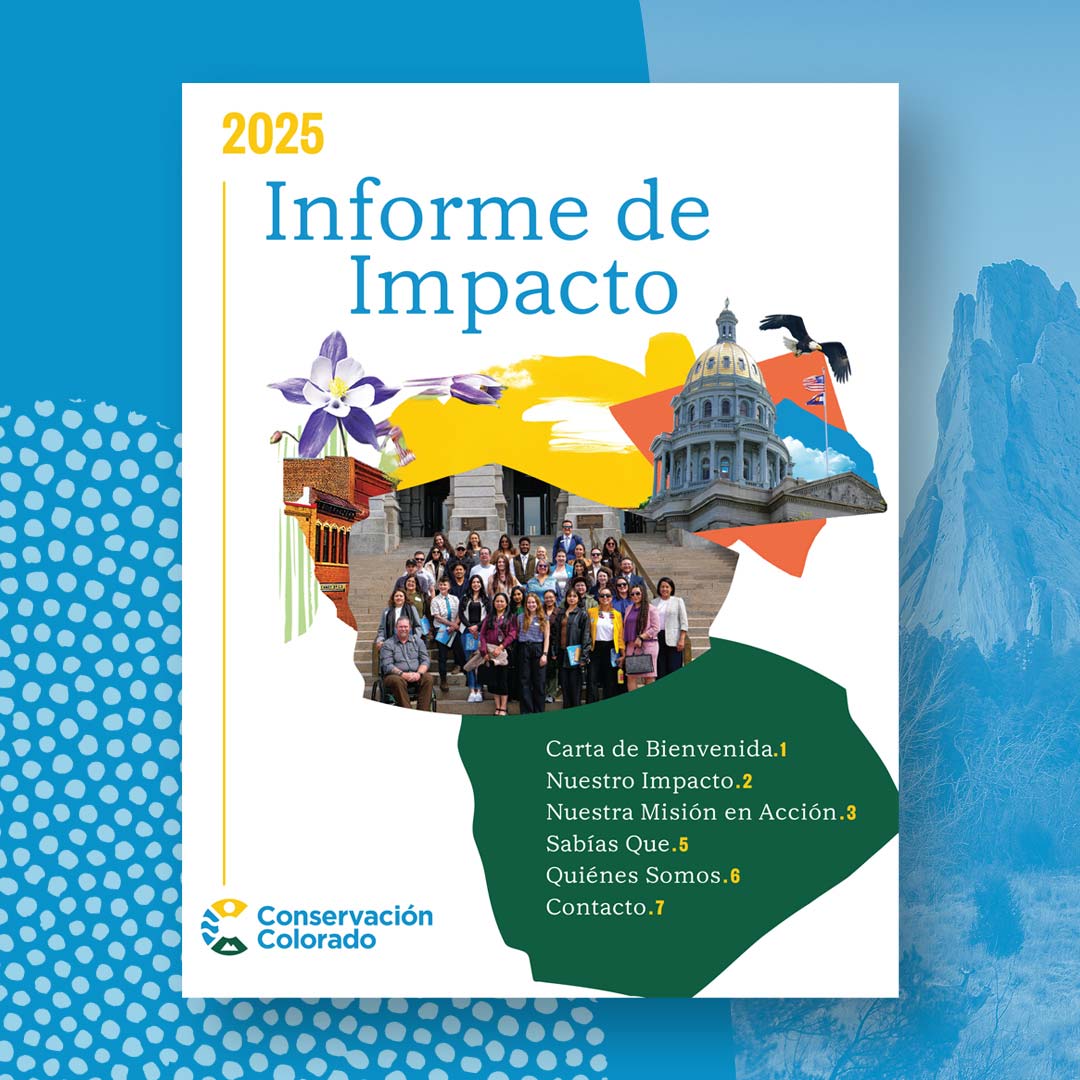 Gráfico para el informe de impacto de 2025