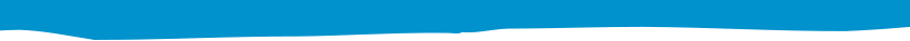 Boards and Commission Fellowship