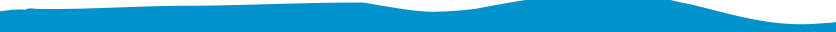 Boards and Commission Fellowship