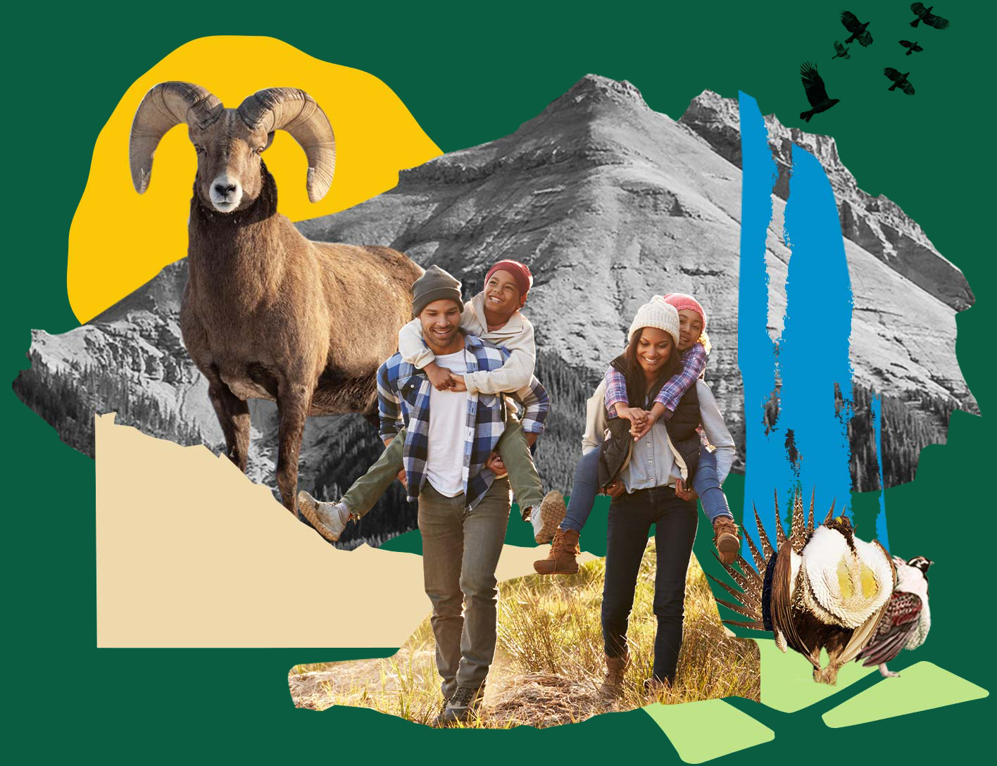 Our Work: Public Lands