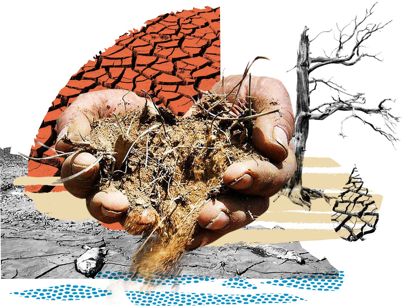 Protect Our Water Supply From Drought