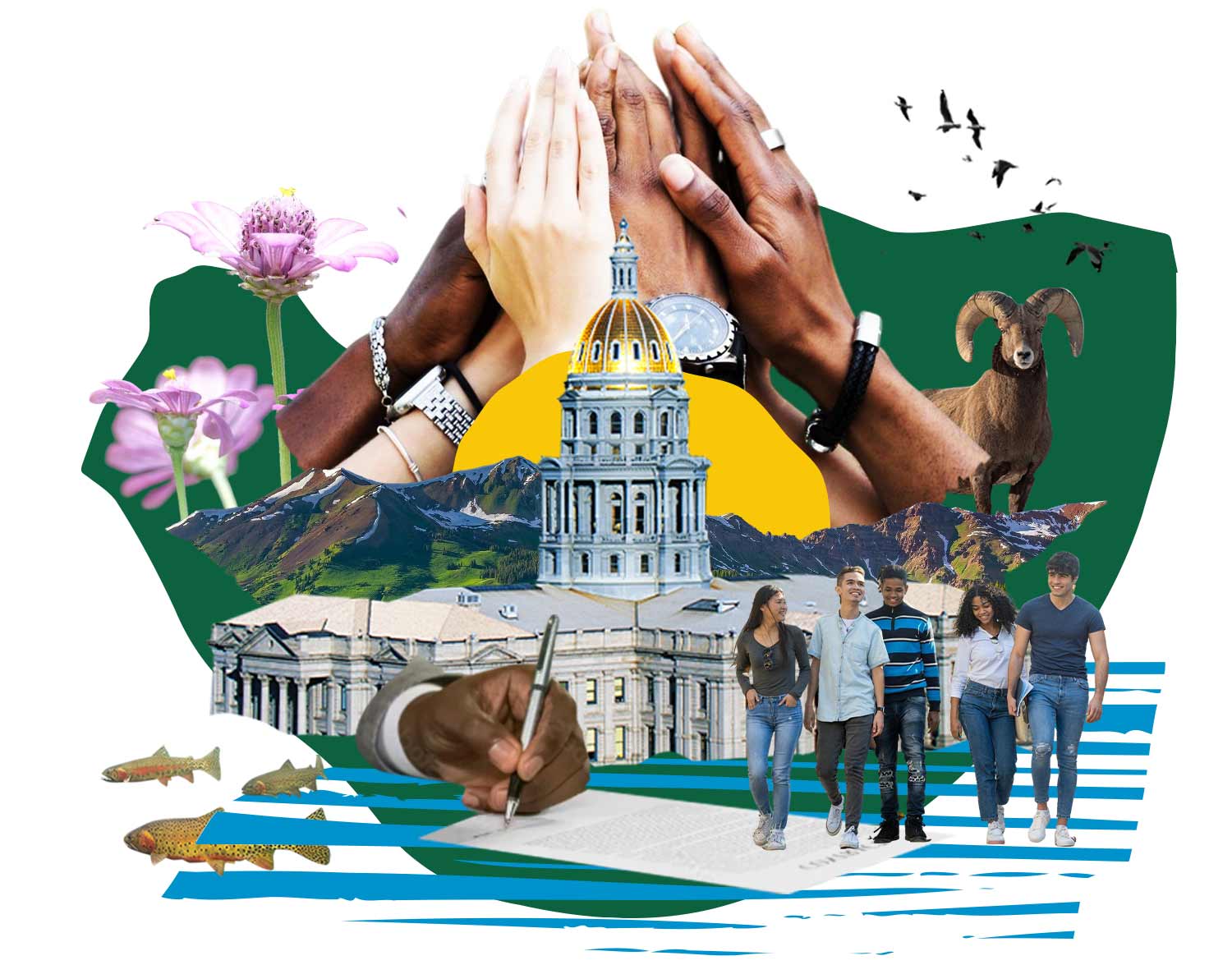Legislative Scorecard