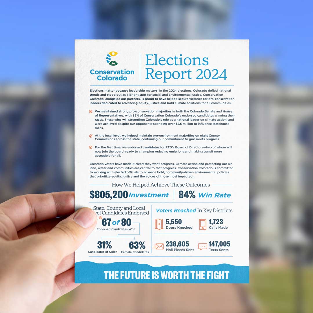 2024 Election Report