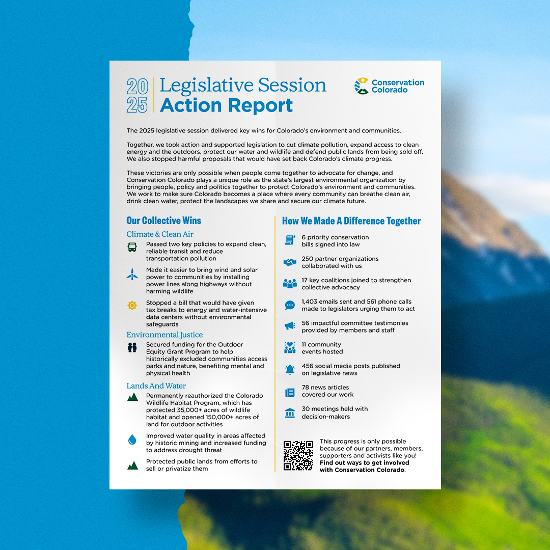 2025 Legislative Session Action Report