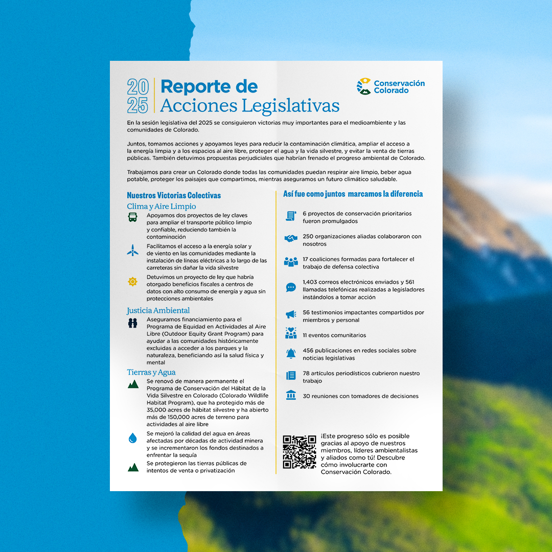 2025 Legislative Session Action Report
