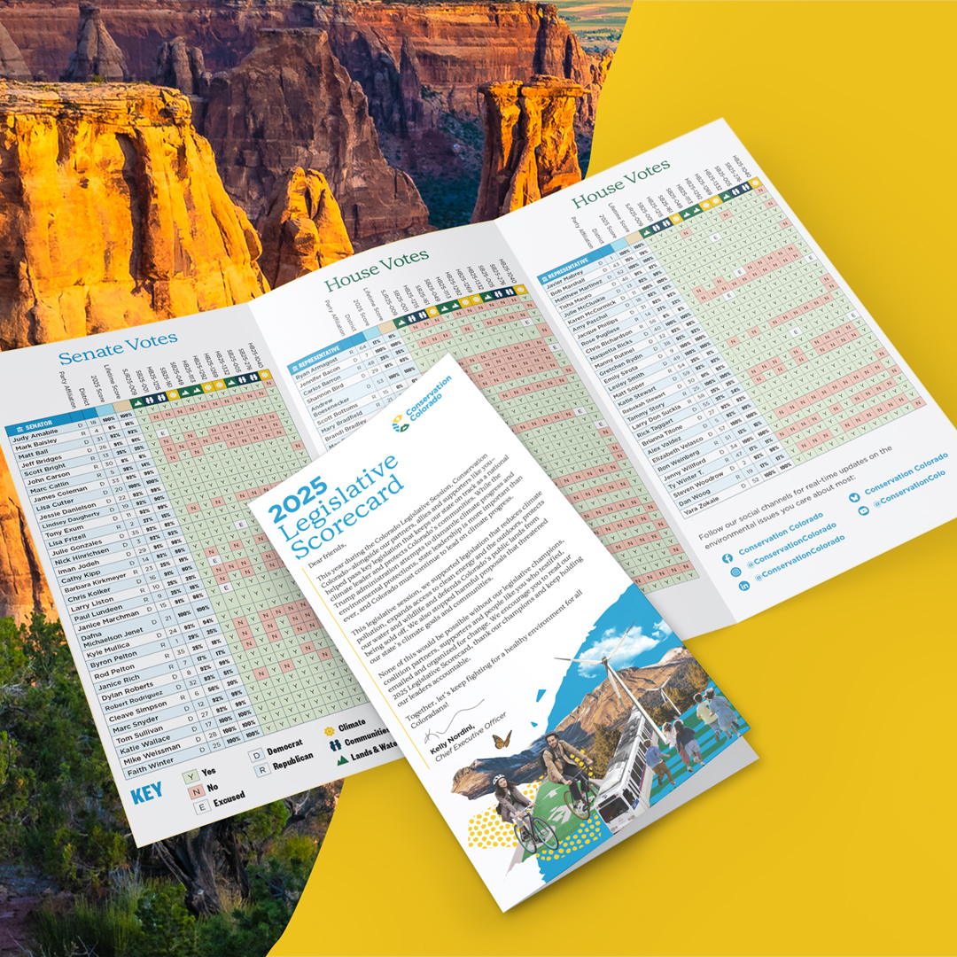 2025 Legislative Scorecard