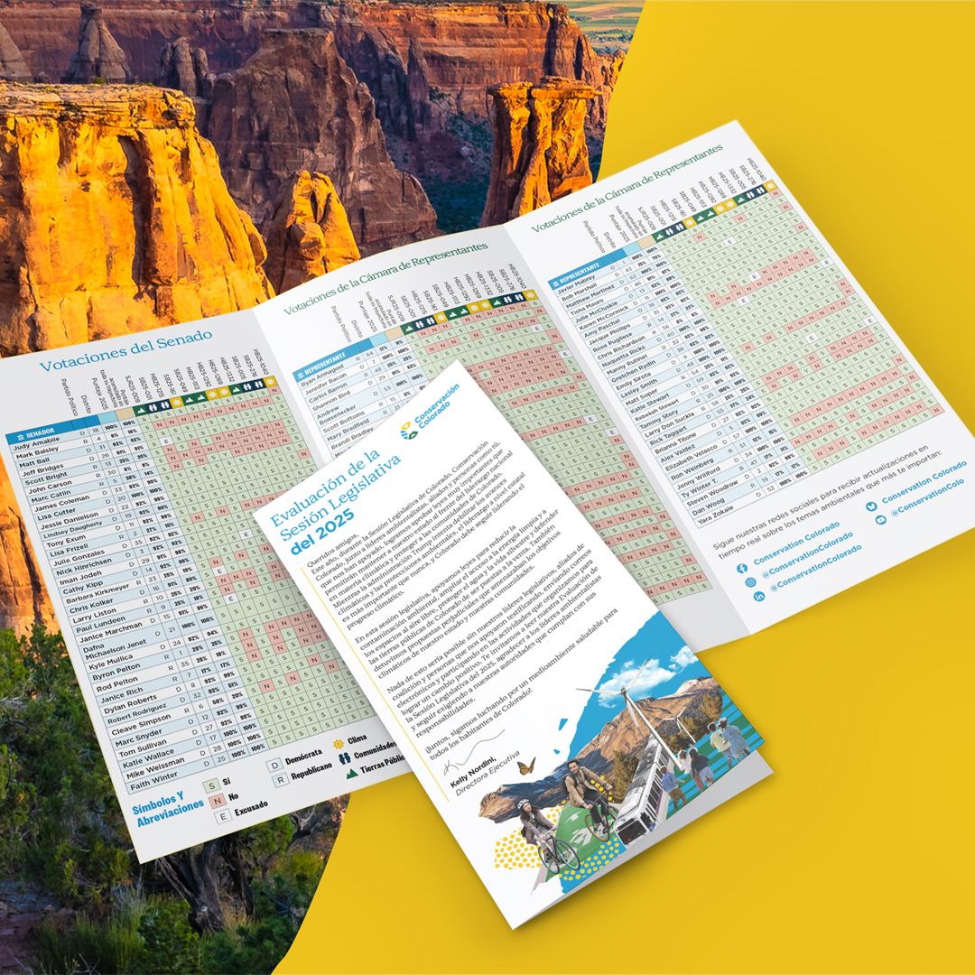 2025 Legislative Scorecard