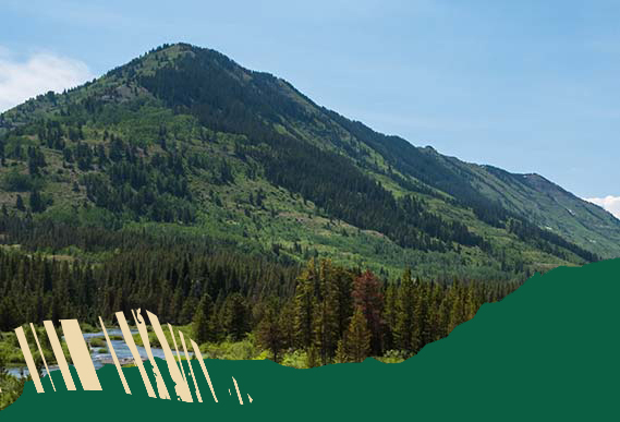 Our Work: Public Lands