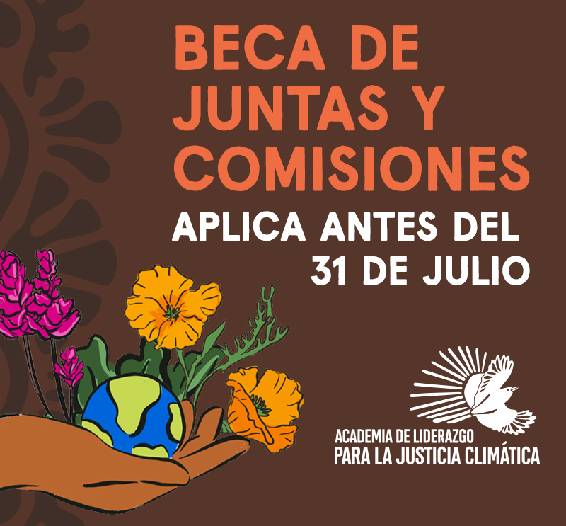 Apply to the Boards and Commissions Fellowship