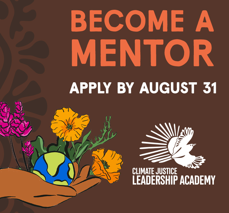 Become a Mentor