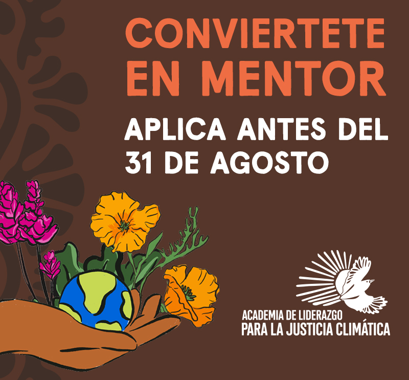 Become a Mentor