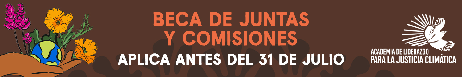 Apply to the Boards and Commissions Fellowship