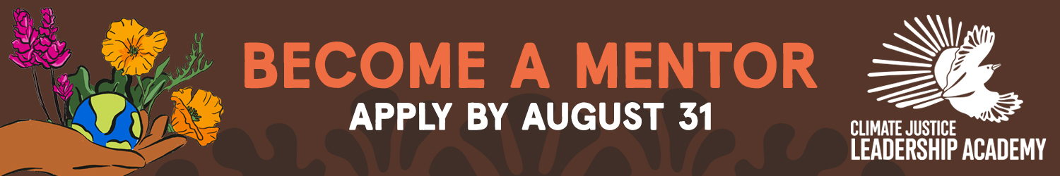 Become a Mentor